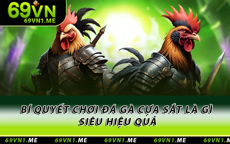 Bí quyết chơi đá gà cựa sắt là gì siêu hiệu quả 