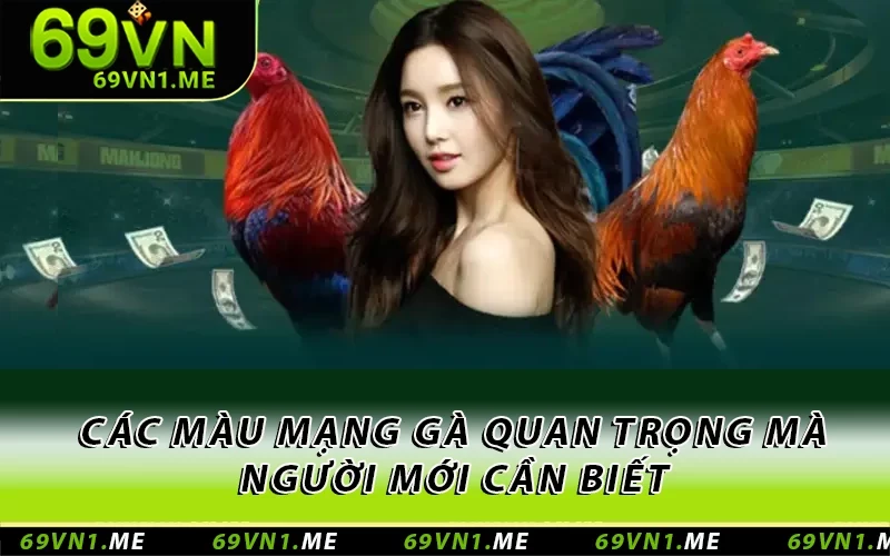 Các màu mạng gà quan trọng mà người mới cần biết