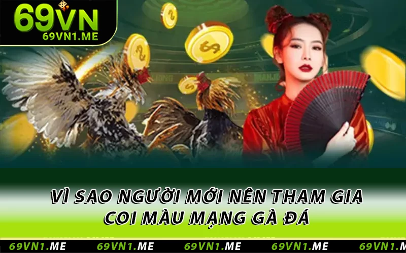 Vì sao người mới nên tham gia coi màu mạng gà đá 