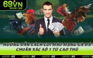 Hướng Dẫn Cách Coi Màu Mạng Gà Đá Chuẩn Xác Số 1 Từ Cao Thủ