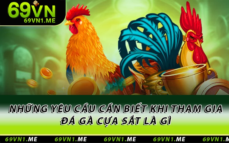 Những yêu cầu cần biết khi tham gia đá gà cựa sắt là gì